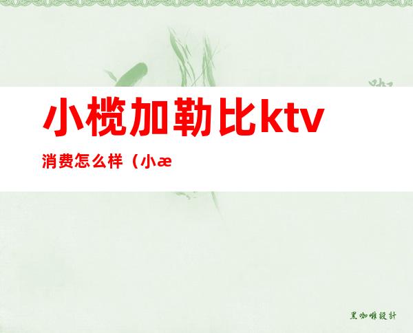 小榄加勒比ktv消费怎么样(小榄星豪ktv电话)