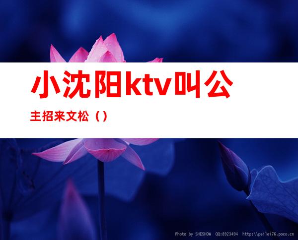 小沈阳ktv叫公主招来文松()