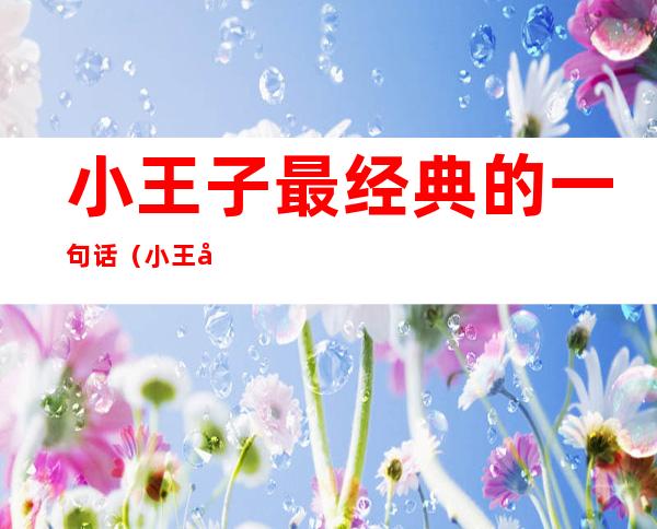 小王子最经典的一句话(小王子最经典的一句话仪式)