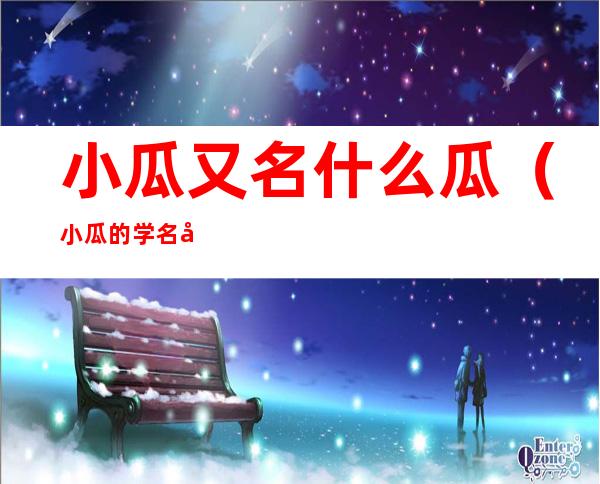 小瓜又名什么瓜(小瓜的学名叫什么)