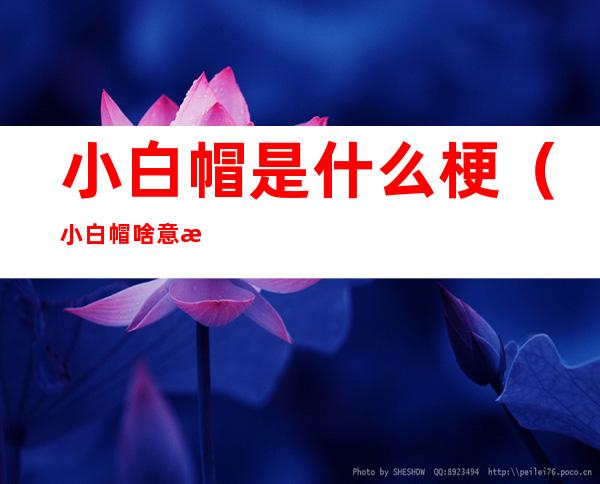 小白帽是什么梗(小白帽啥意思)