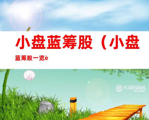 小盘蓝筹股(小盘蓝筹股一览表)