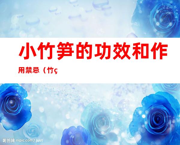 小竹笋的功效和作用禁忌(竹笋的副作用和禁忌)