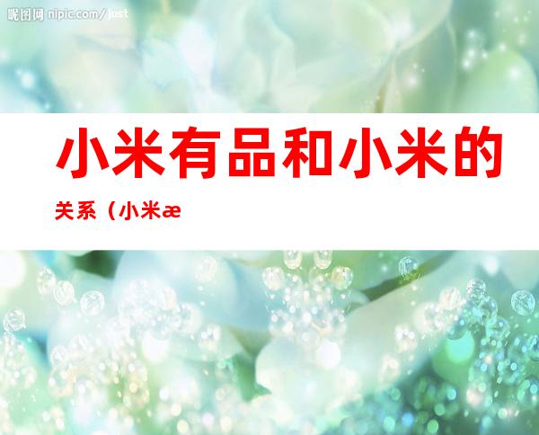 小米有品和小米的关系(小米有品和小米什么关系?)