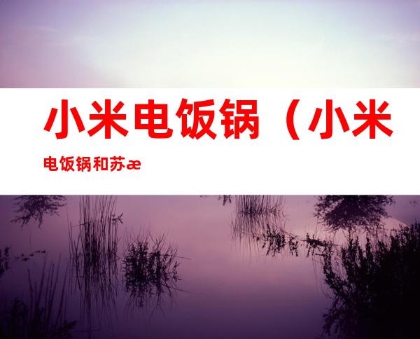小米电饭锅(小米电饭锅和苏泊尔哪个好)