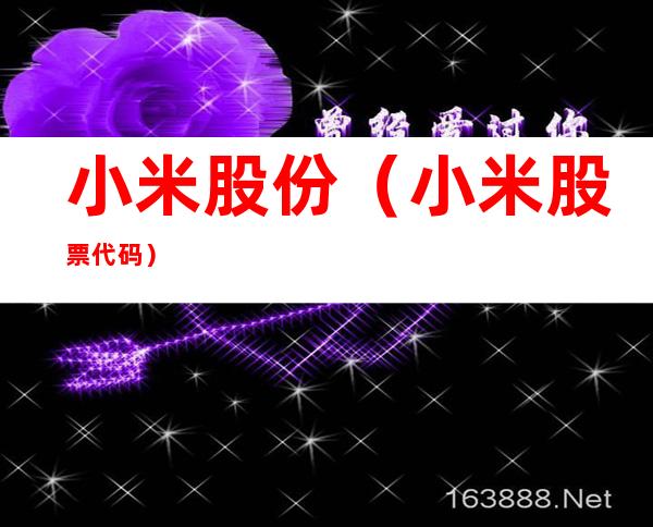 小米股份(小米股票代码)