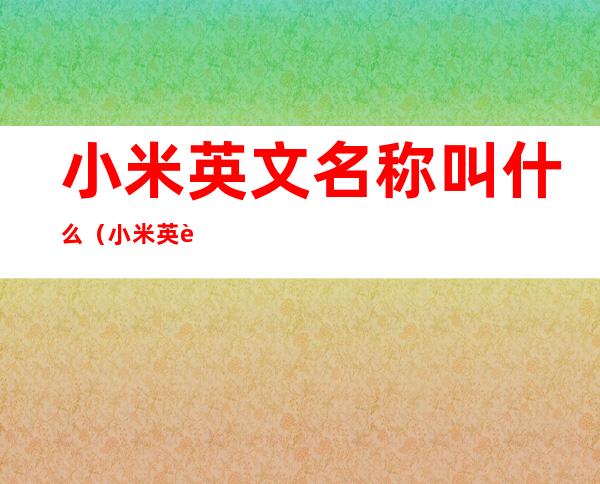小米英文名称叫什么(小米英语名)