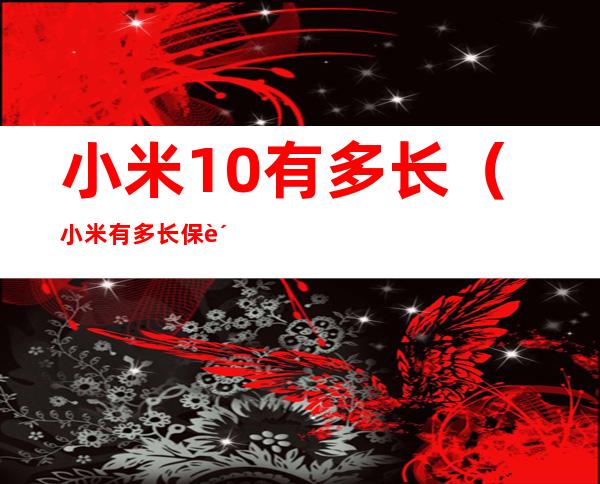 小米10有多长(小米有多长保质期)