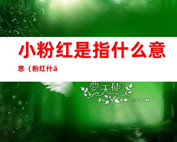 小粉红是指什么意思(粉红什么意思?)