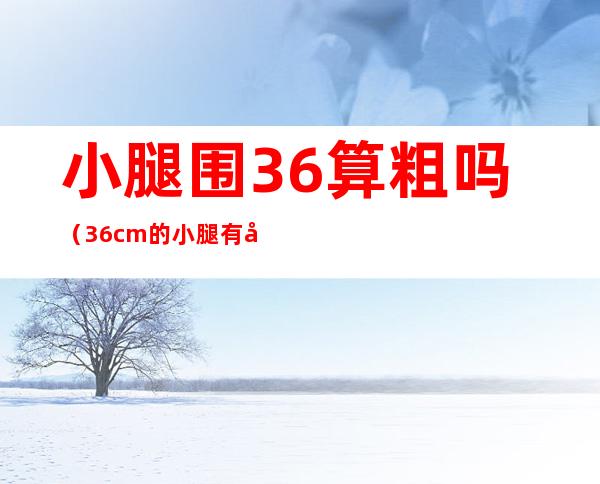 小腿围36算粗吗(36cm的小腿有多粗)