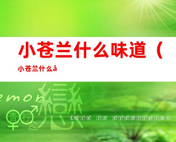 小苍兰什么味道(小苍兰什么味道好闻吗)