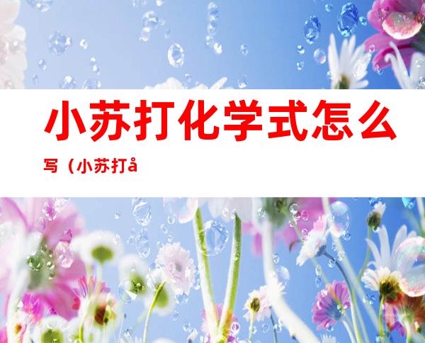 小苏打化学式怎么写(小苏打化学式怎么写出来的)