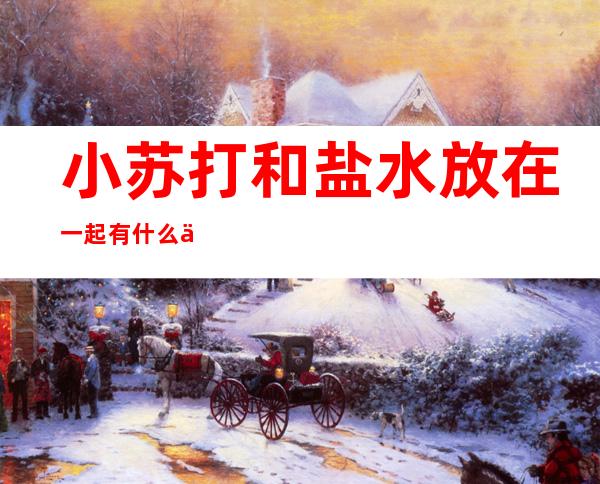 小苏打和盐水放在一起有什么作用(小苏打和盐水放在一起有什么作用呢)
