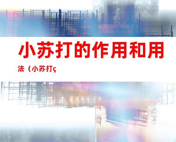 小苏打的作用和用法(小苏打的作用和用法是什么)