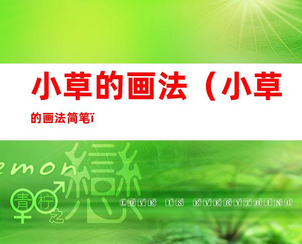 小草的画法(小草的画法简笔)
