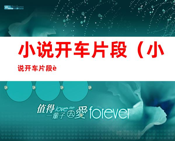小说开车片段(小说开车片段视频)