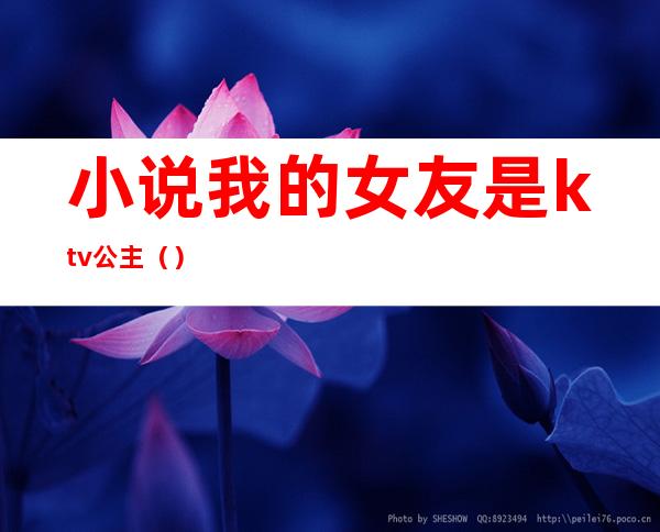 小说我的女友是ktv公主()