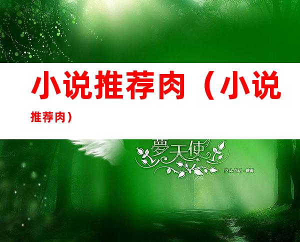 小说推荐肉（小说推荐肉）