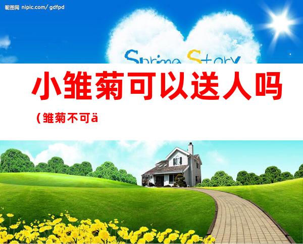 小雏菊可以送人吗(雏菊不可以送人吗)