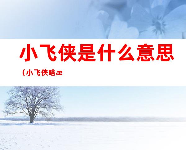 小飞侠是什么意思(小飞侠啥意思)