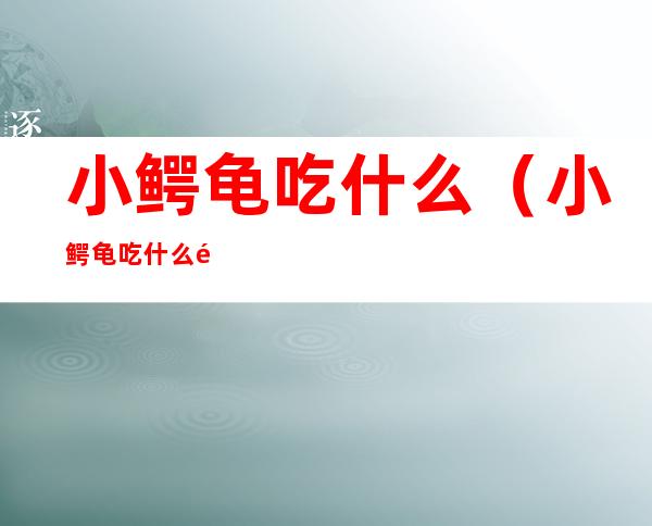 小鳄龟吃什么(小鳄龟吃什么食物)