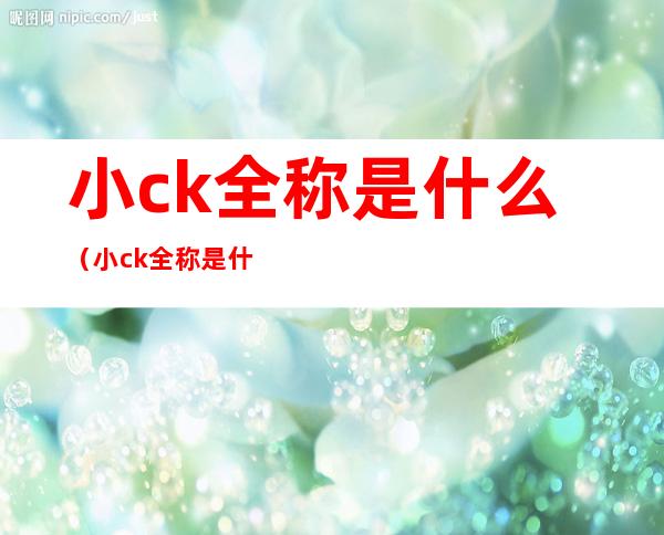 小ck全称是什么(小ck全称是什么牌子)