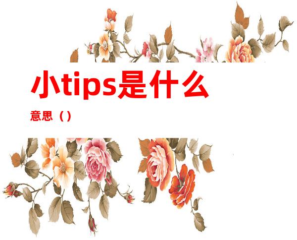 小tips是什么意思()