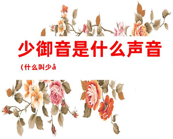 少御音是什么声音(什么叫少御音)