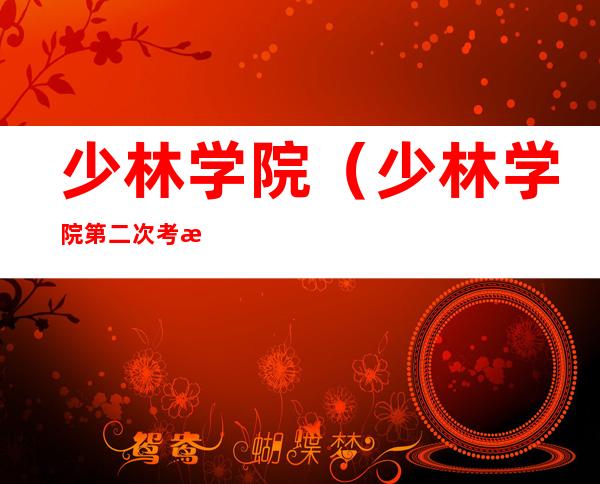 少林学院（少林学院第二次考核）