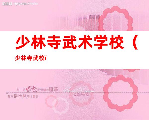 少林寺武术学校(少林寺武校)
