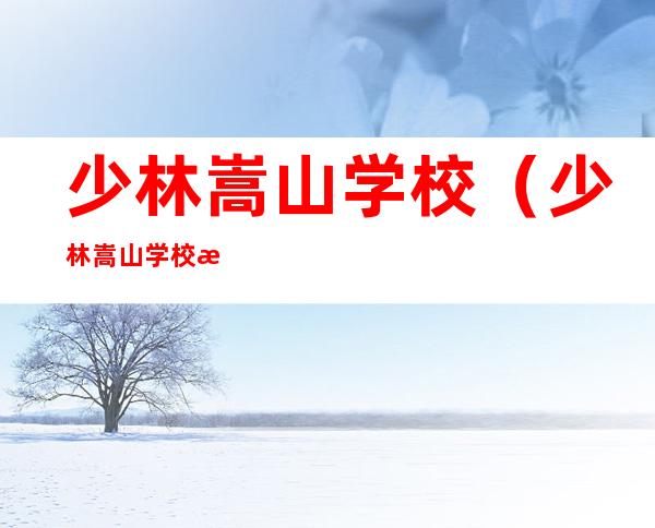 少林嵩山学校(少林嵩山学校收不收)