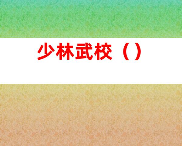 少林武校()