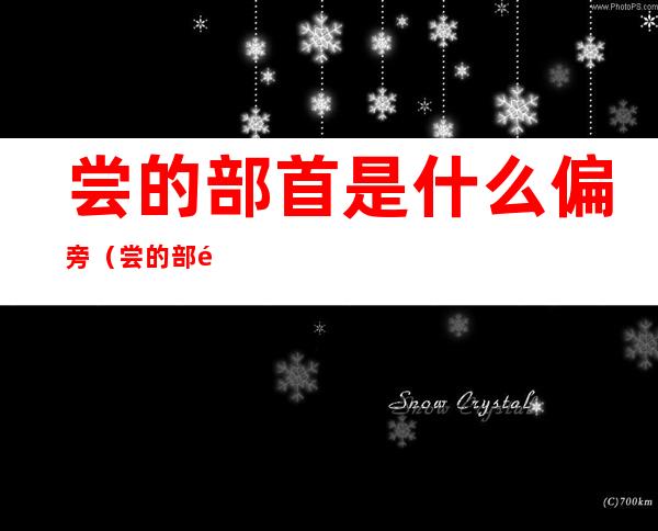 尝的部首是什么偏旁(尝的部首是什么偏旁结构)