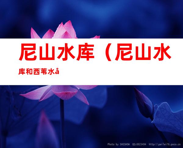 尼山水库(尼山水库和西苇水库哪个大)