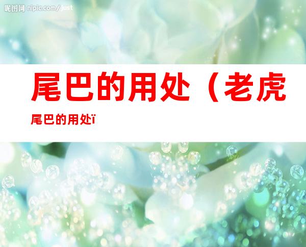 尾巴的用处(老虎尾巴的用处)