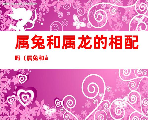 属兔和属龙的相配吗（属兔和属蛇的相配吗）