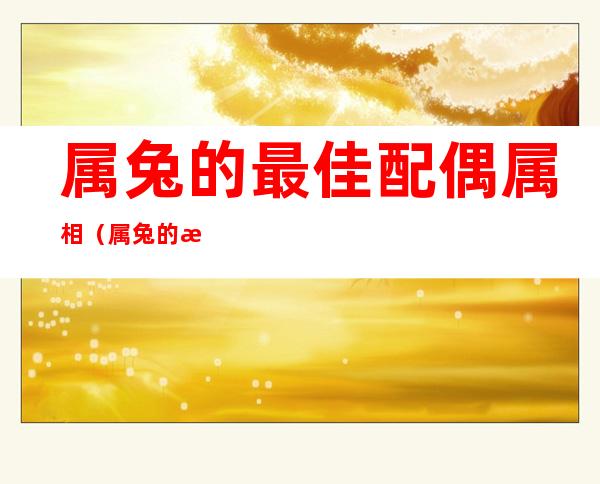 属兔的最佳配偶属相(属兔的最佳配偶?)