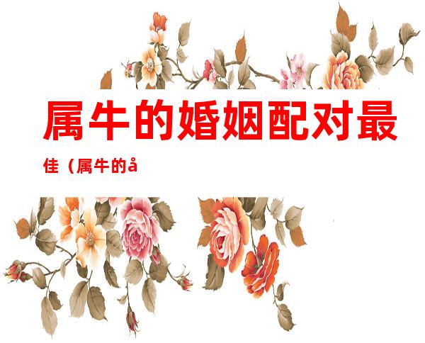 属牛的婚姻配对最佳(属牛的婚姻配对最佳男)