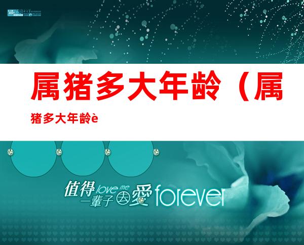 属猪多大年龄(属猪多大年龄财运好)