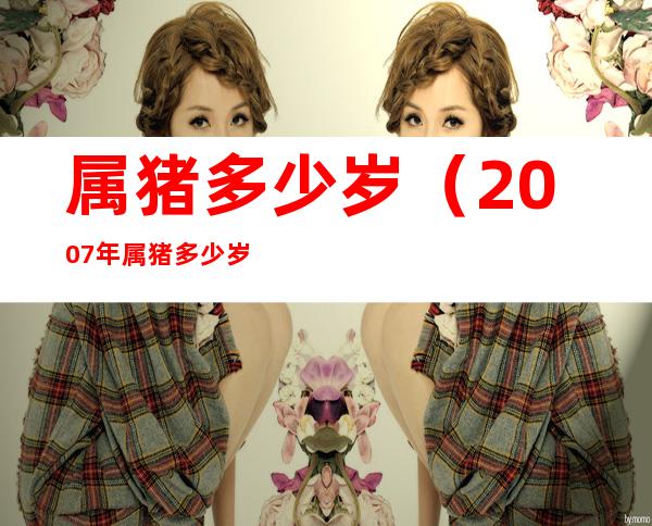 属猪多少岁（2007年属猪多少岁）