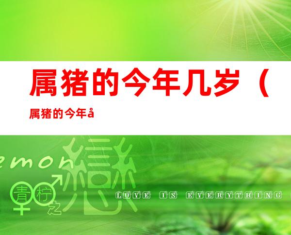 属猪的今年几岁(属猪的今年几岁对照表)