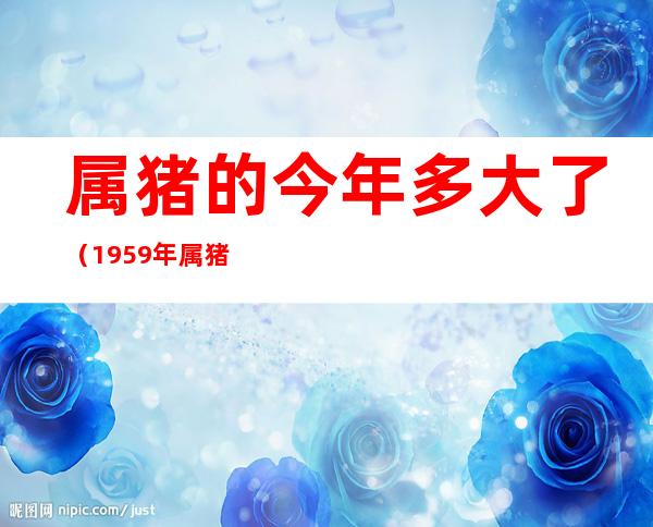 属猪的今年多大了（1959年属猪的今年多大了）