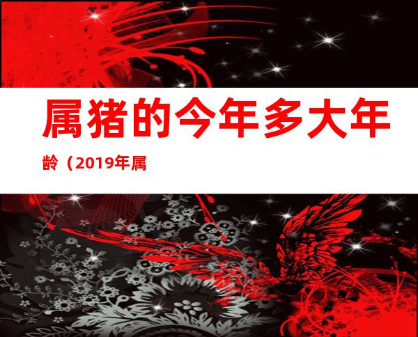 属猪的今年多大年龄(2019年属猪的今年多大年龄)