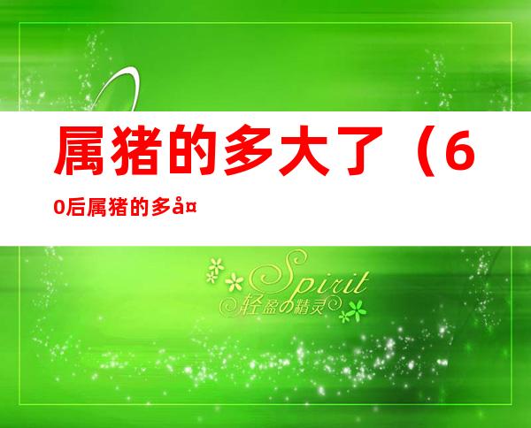 属猪的多大了(60后属猪的多大了)
