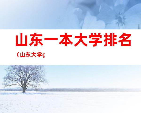山东一本大学排名(山东大学的一本大学排名)