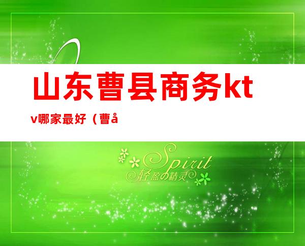 山东曹县商务ktv哪家最好(曹县品尚KTV)
