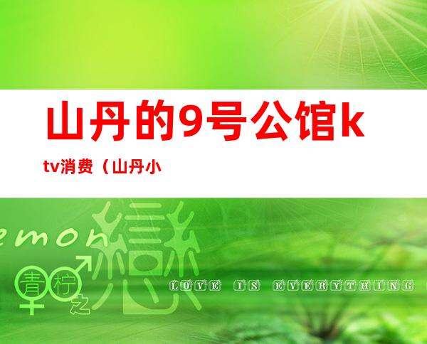 山丹的9号公馆ktv消费(山丹小宾馆)