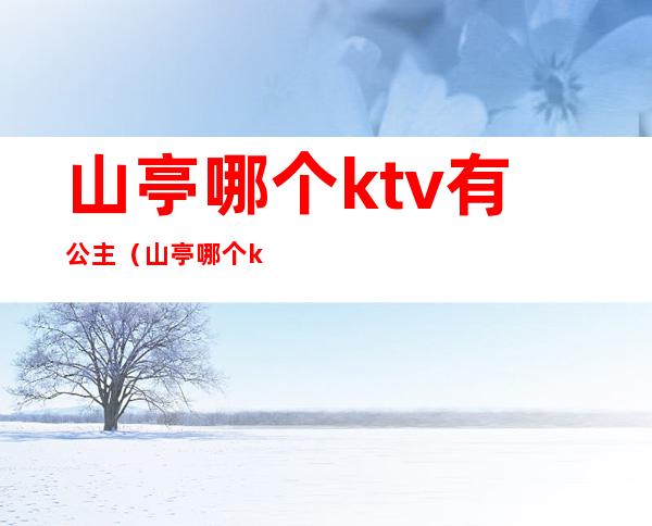 山亭哪个ktv有公主(山亭哪个ktv有公主服务)