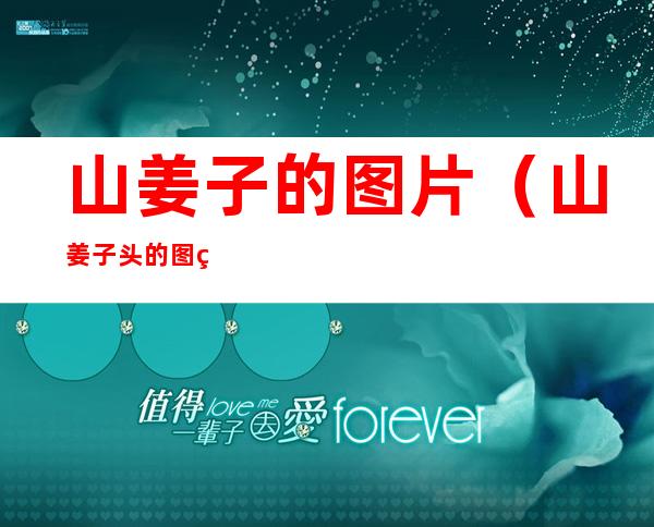 山姜子的图片(山姜子头的图片)