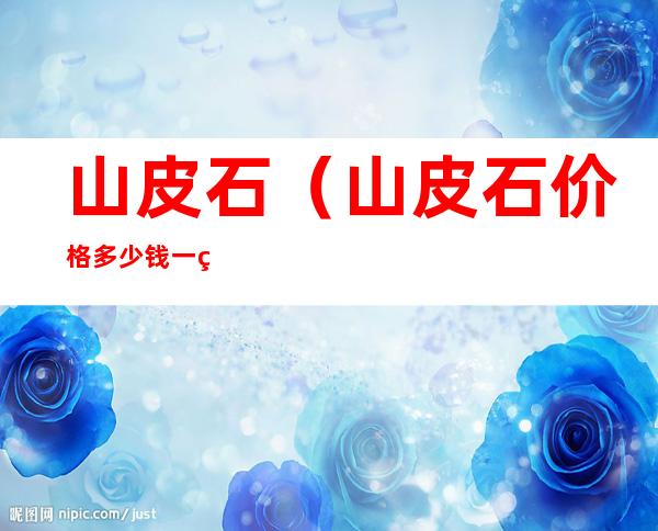 山皮石（山皮石价格多少钱一立方）